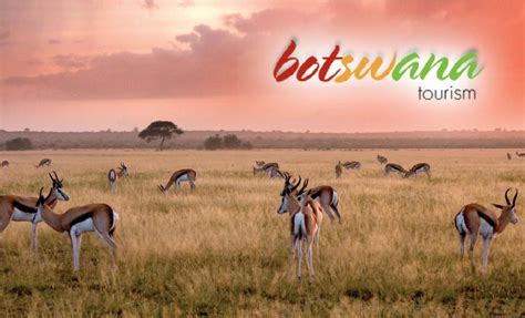 Half of the global tourism workforce is under the age of 25. Botswana Tourism Organization Partners with the GSTC on ...