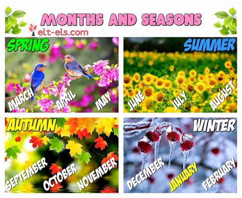 Months And Seasons Elt