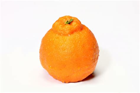 Darmowe Zdjęcia Owoc Pomarańczowy Jedzenie Produkować Witamina