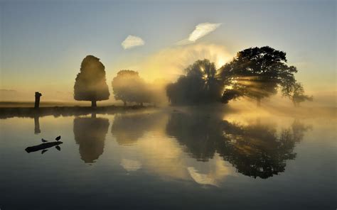 4431x3323 Lake Reflection Morning Mist Trees Nature Hd 4k