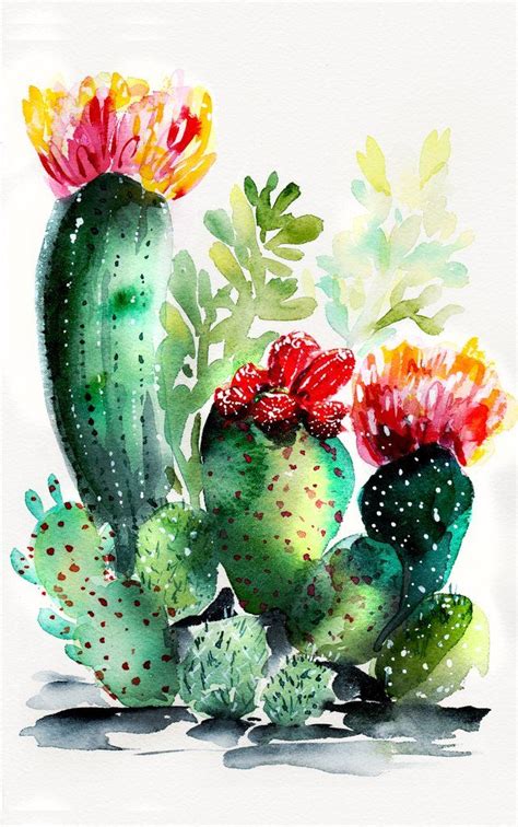 Watercolor Cacti 3 Cactus Collection Cactus Paintings Watercolor