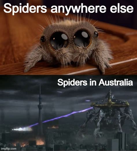 Spiders Be Like Imgflip