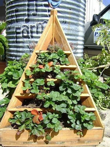 How To Build A Strawberry Planter Tips And Plans