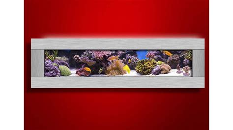 8 Best Wall Mounted Fish Tanks 2020 Review And Buyers Guide