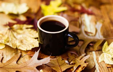 Wallpaper Autumn Leaves Coffee Cup Autumn Leaves