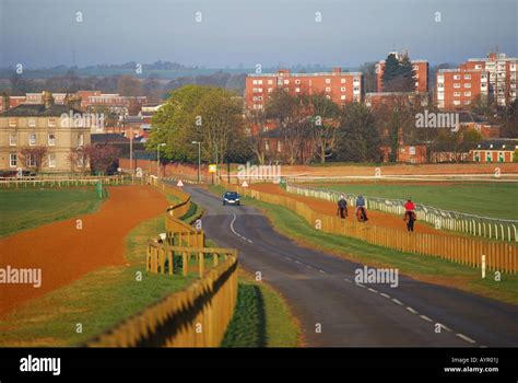 Newmarket Horse Run Suffolk Hi Res Stock Photography And Images Alamy