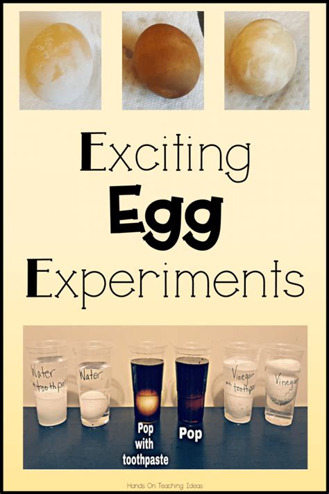 Exciting Egg Experiments To Try At Home Or School