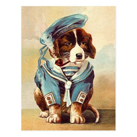 Vintage Sailor Dog Postcard
