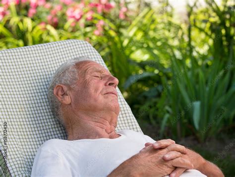 Old Man Sleeping In Garden Stock Photo Adobe Stock