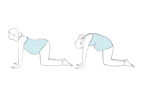 We're going to take you through how to do cat and cow yoga poses. Yoga Poses for Pregnancy