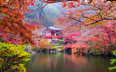 Wallpaper Japan Kyoto Park Pagoda Colorful Leaves Trees Pond