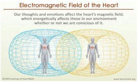 Image Result For Electromagnetic Human Energy Field Electromagnetic