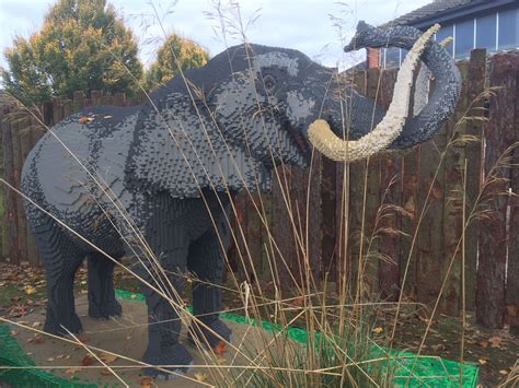 Lifesize Lego Animals You Can See At Twycross Zoo Leicestershire Live