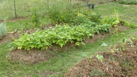 Créer une butte de permaculture tuto Plantes et jardins conseils en jardinage et au potager