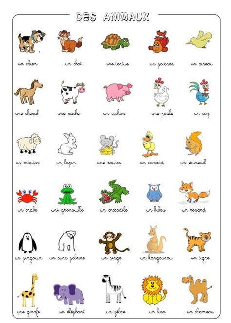 Animaux Vocabulaire Animaux Pinterest Insectos