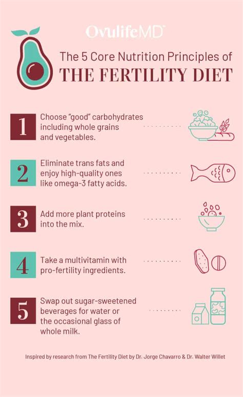 Decoding The Fertility Diet 5 Key Nutrition Principles To Increase Fertility