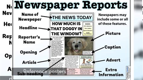 Childrens Newspaper Article Examples How To Write A News Article