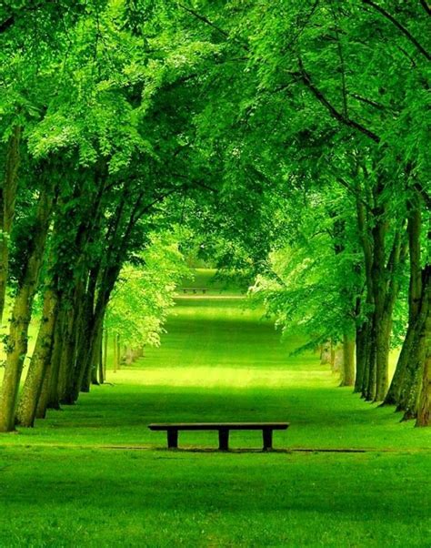 Green Park Beautiful Landscapes Beautiful Places Cool Places To Visit