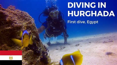 Diving In Hurghada Egypt Youtube