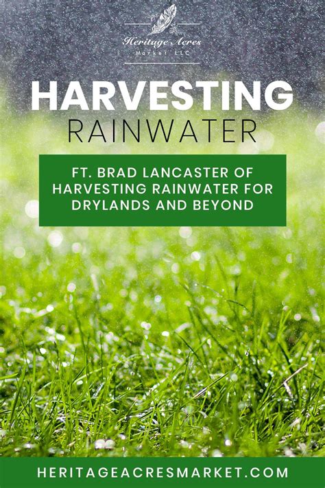 Harvesting Rainwater Ft Brad Lancaster Of Harvesting Rainwater For