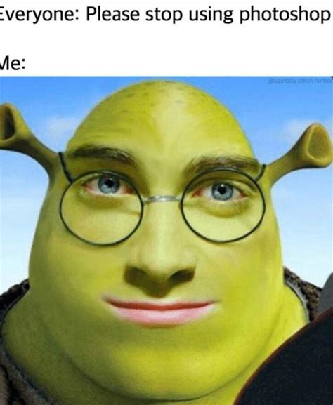 The Best 24 Shrek Memes Clean Blackswasude