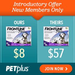 The gold package costs $9.95 per month and includes benefits for heartworm and felv tests, deworming, wellness exams and more. How Much Does Dog Insurance Cost Per Month? - Yo Doggy Dog
