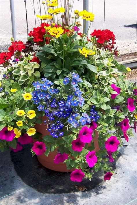 Container Pots Flowers Ideas Design Decoredo