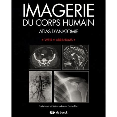 Anatomie Du Corps Humain Atlas D Imagerie The Best Porn Website