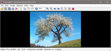 Converting heic file to jpg, heic viewer. What Is a WebP File (and How Do I Open One)?