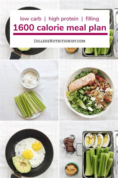 1600 Calorie Filling Low Carb Meal Plan With Salmon And Celery In 2022