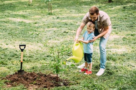 25 Fathers Day Gardening Ts For Dad Better Gardeners Guide