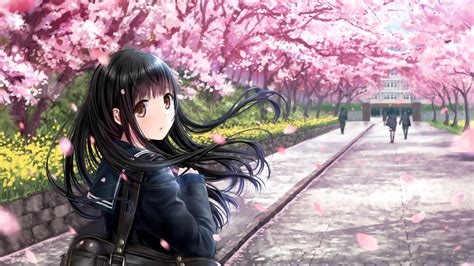 Download 3840x2160 Anime Girl Sakura Blossom School