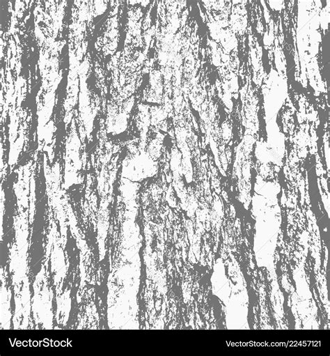 Grunge Wood Texture Bark Tree Royalty Free Vector Image