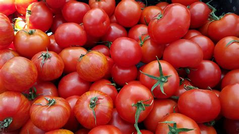 10 Fun Facts On Tomatoes