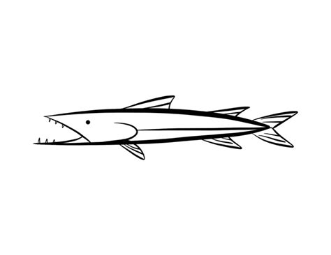 Barracuda Coloring Page Colordad Barracuda Hoco Dresses Whales