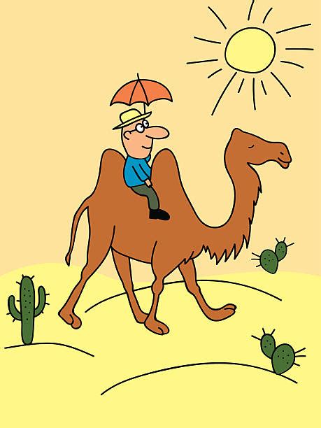 Man Riding A Camel In The Desert Cartoon Illustrations Royalty Free