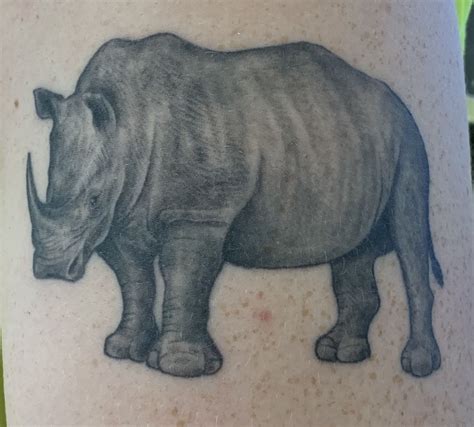 Rhino Tattoo Rhino Tattoo Rhinoceros Rhino