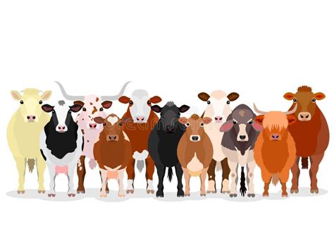 Herd Of Cows Clipart