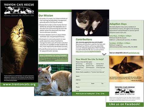 Trifold Brochure Trenton Cats Rescue On Behance