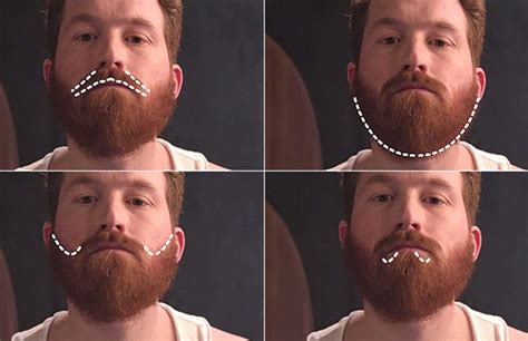 How To Trim A Full Beard Guide Philips