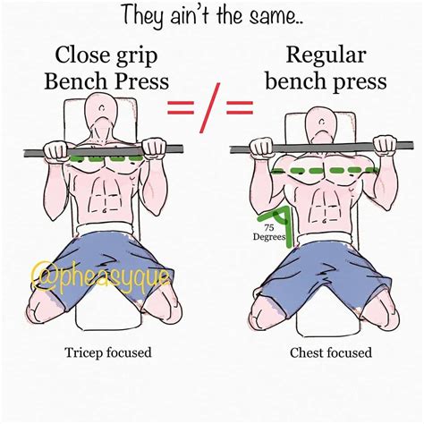 Correctnes Bench Press Weight Training Plan Weight Training Programs