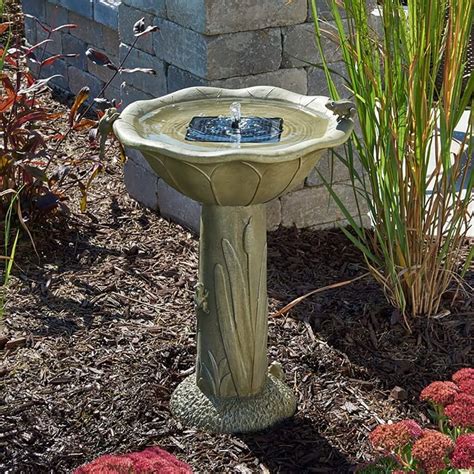 7 Best Solar Powered Bird Bath Fountain Pros And Cons