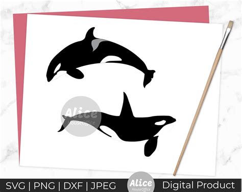 Orca Svg Dxfpngjpeg Cute Orca Silhouette Orca Design Svg Animal