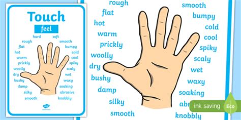 Touch Vocabulary Display Poster Teacher Made