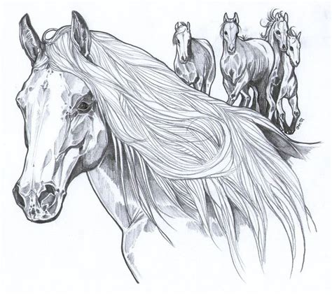 Wild Mustangs Horse Coloring Pages Wild Horses Mustangs Wild Mustangs