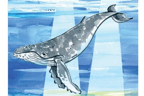 Color it in and tackle something new. Art Thief: Draw a humpback whale | Whale, Humpback whale, Art
