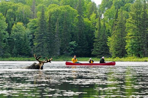 Algonquin Park Canoe Trips With Voyageur Quest Canoe Trip Algonquin