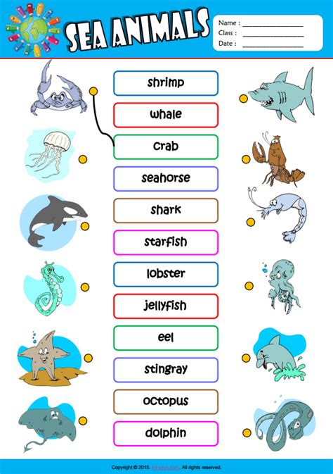 Sea Animals Esl Vocabulary Matching Exercise Worksheets Sea Animals Images