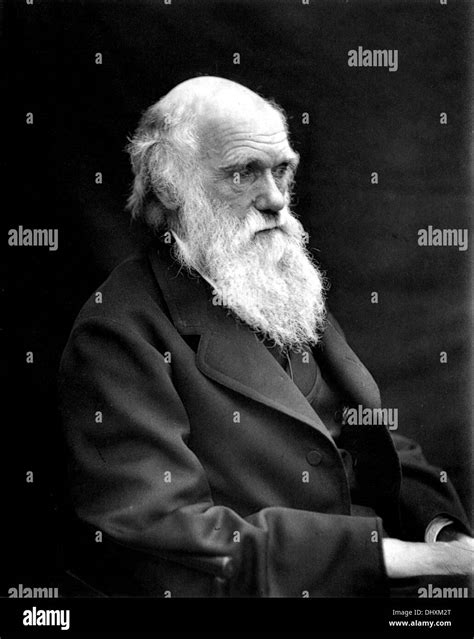 Charles Darwin Evolution Theory Painting Art Artwork Black And White