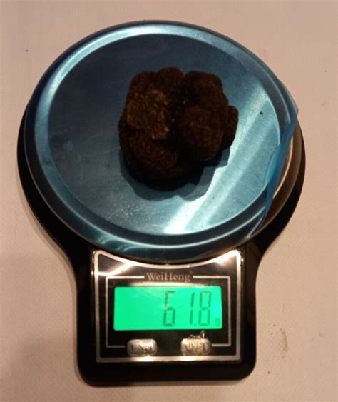 Truffe noire hiver tuber mélanosporum fraiche type perigord origine touraine 55g eBay